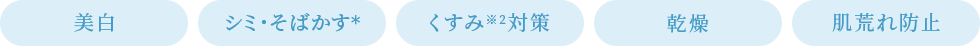 美白 シミ・そばかす＊ くすみ※2対策 乾燥 肌荒れ防止
