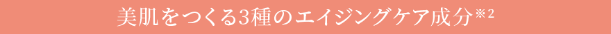 美肌をつくる3種のエイジングケア成分※2