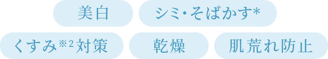 美白 シミ・そばかす＊ くすみ※2対策 乾燥 肌荒れ防止