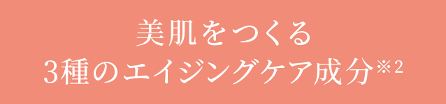 美肌をつくる3種のエイジングケア成分※2