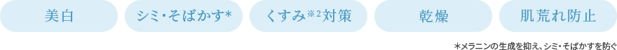 美白・シミ・そばかす・くすみ対策・乾燥・肌荒れ防止