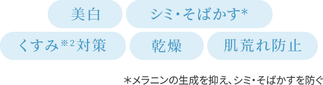 美白・シミ・そばかす・くすみ対策・乾燥・肌荒れ防止