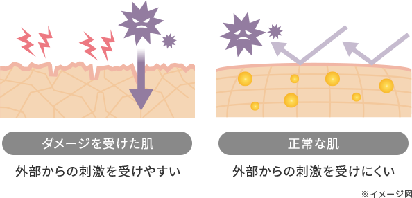 ダメージを受けた肌と正常な肌