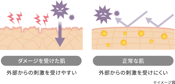 ダメージを受けた肌と正常な肌