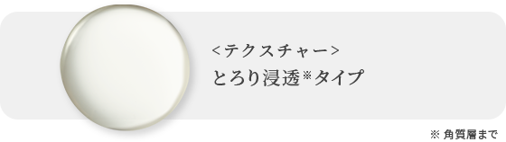 ＜テクスチャー＞ふんわりタッチのさっぱりタイプ