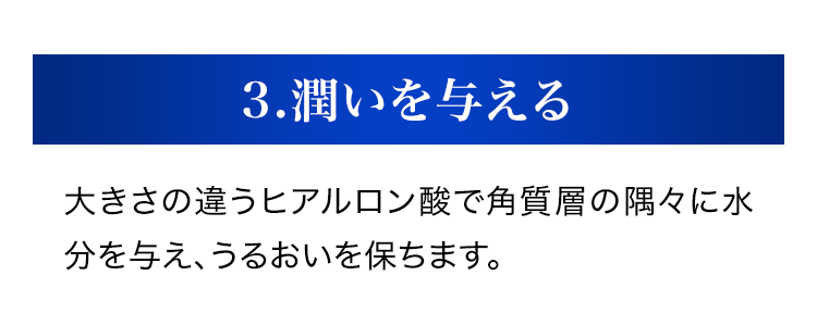 3.潤いを与える大きさの違うヒアルロン酸で角質層の隅々に水分を与え、うるおいを保ちます。