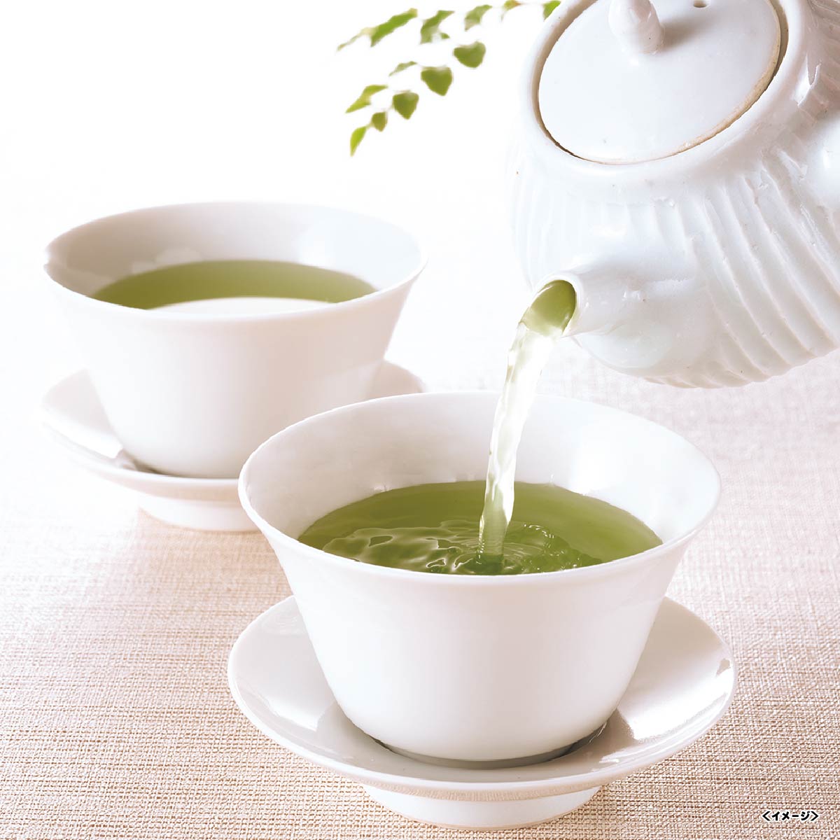 京都宇治総本家 辻利 煎茶詰合せ D-1