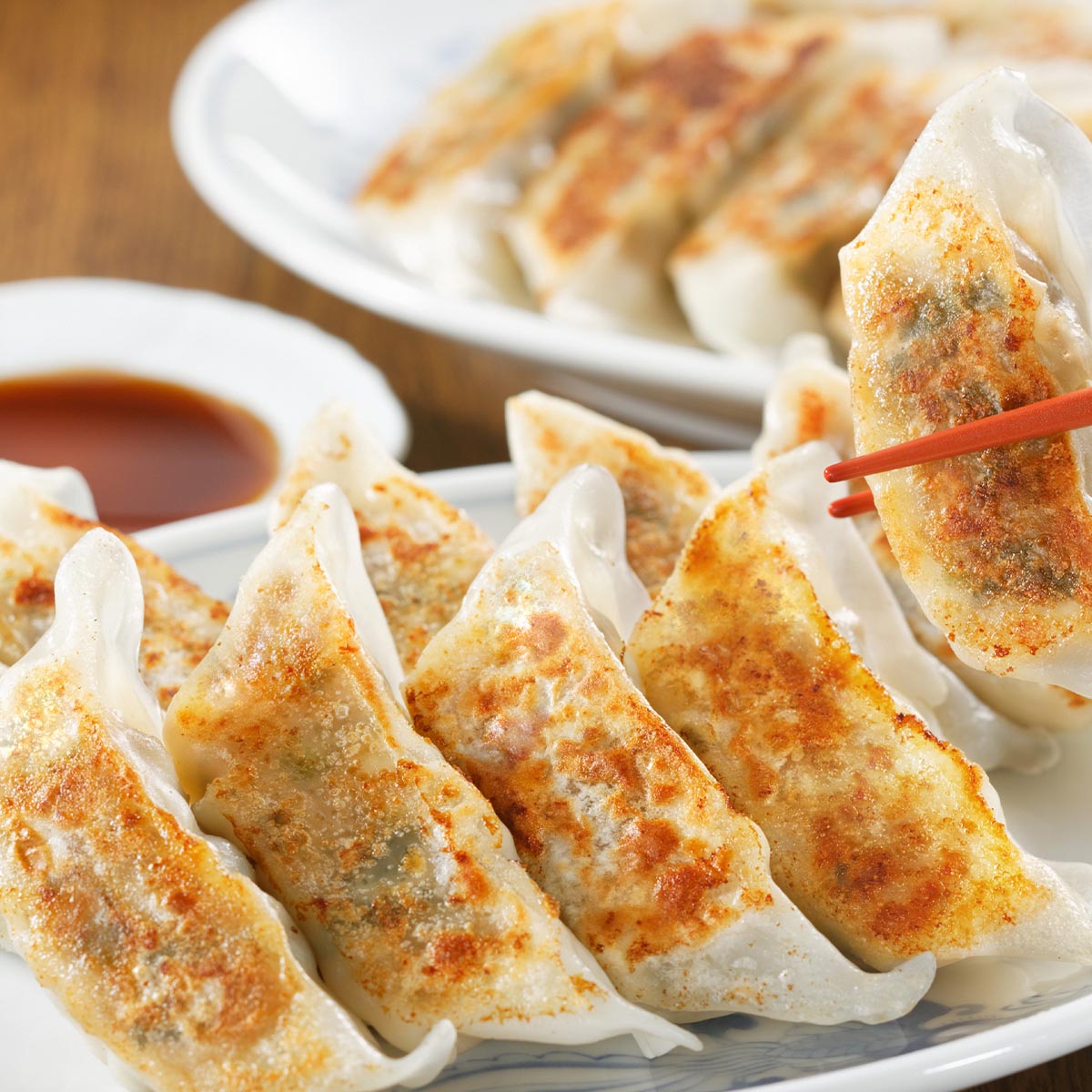 芦屋　伊東屋謹製　黒豚餃子と九条餃子と地鶏餃子セット KNJ-50G