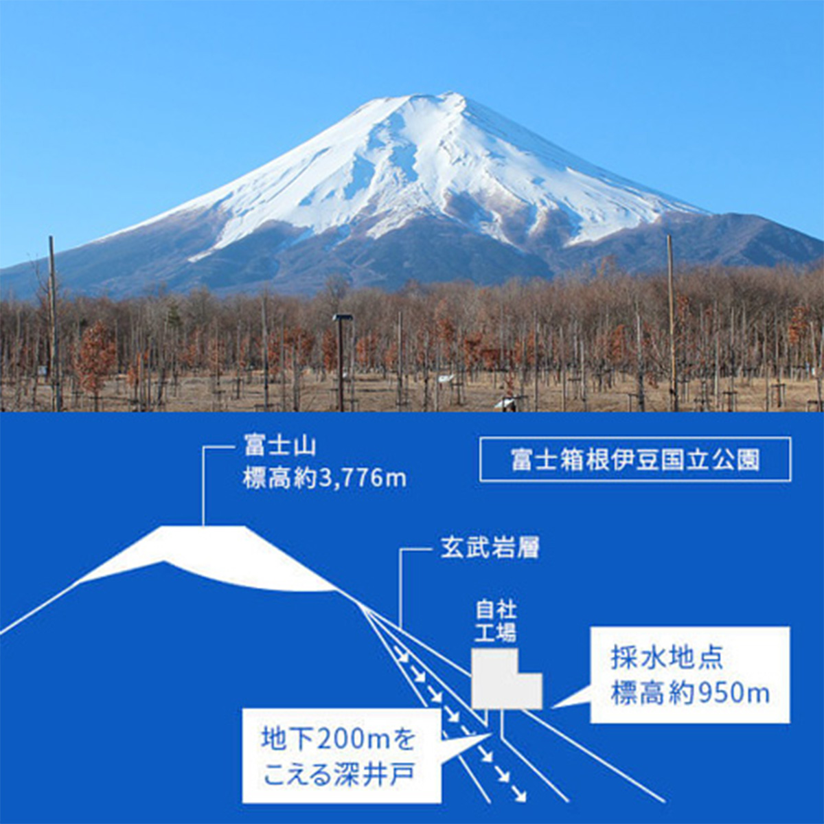 富士の湧水 ペットボトル 2L 6本セット