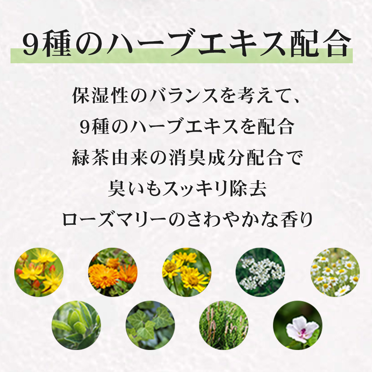 キッチンハーブ 300mL