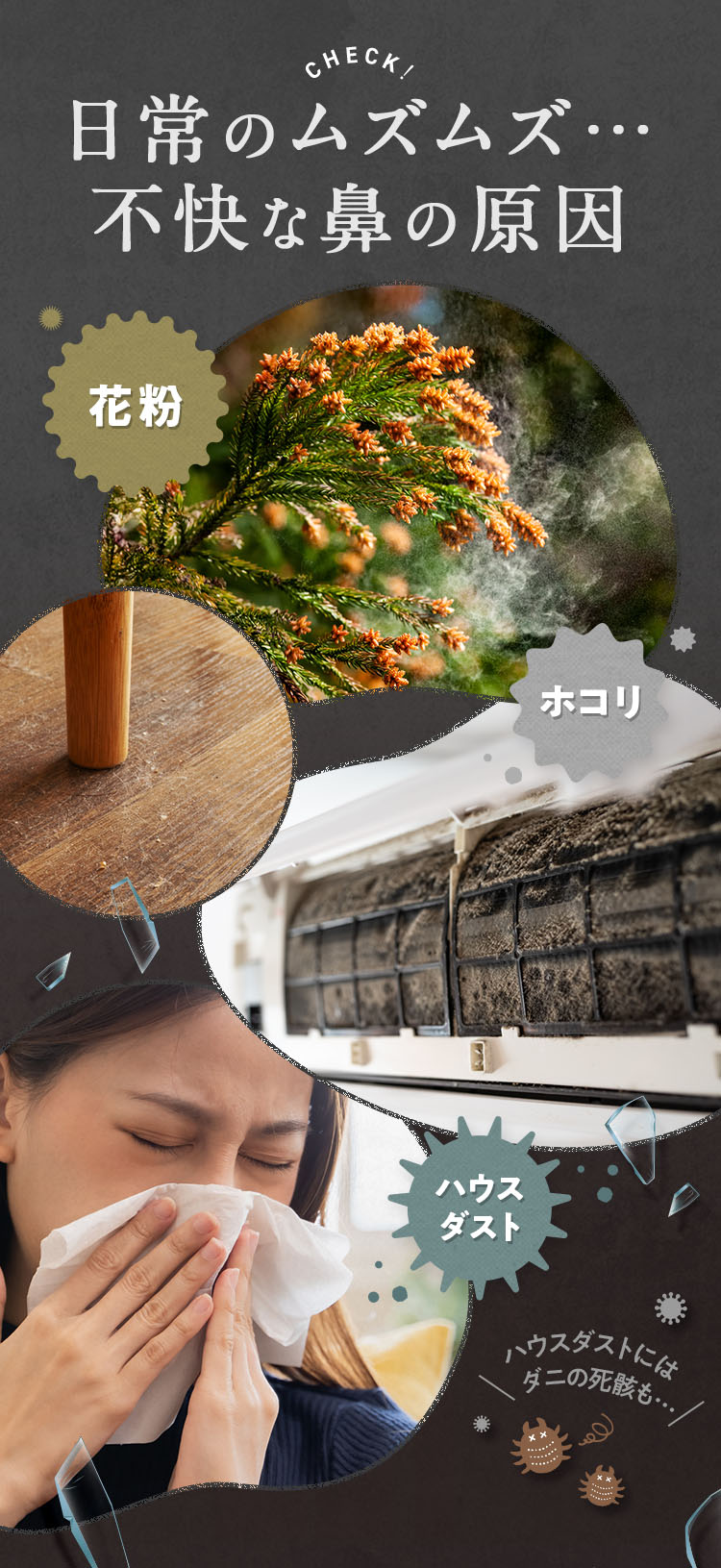 日常のムズムズ不快な鼻の原因 花粉 ホコリ ハウスダスト