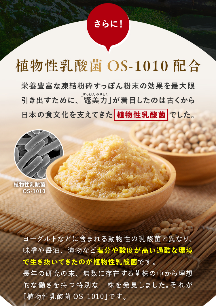 さらに！植物性乳酸菌OS-1010配合