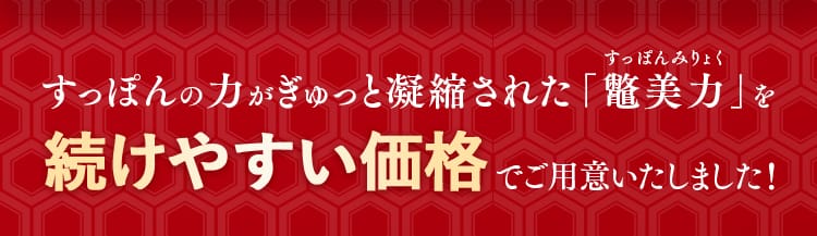 すっぽんの力がぎゅっと凝縮された「鼈美力」を続けやすい価格でご用意いたしました！