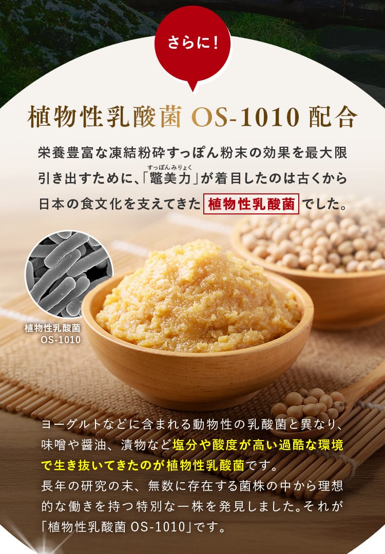 さらに！植物性乳酸菌OS-1010配合