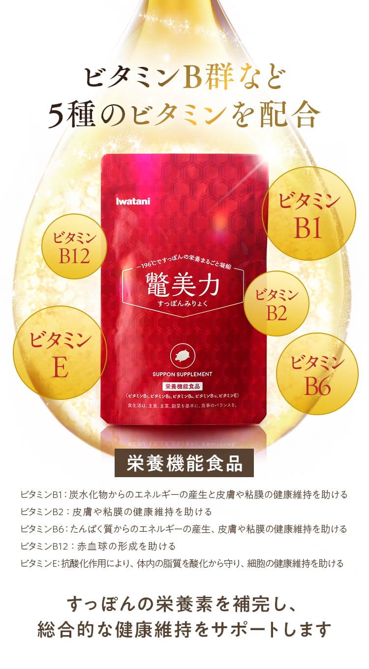 ビタミンB群など5種のビタミンを配合｜すっぽんの栄養素を補完し、総合的な健康維持をサポートします