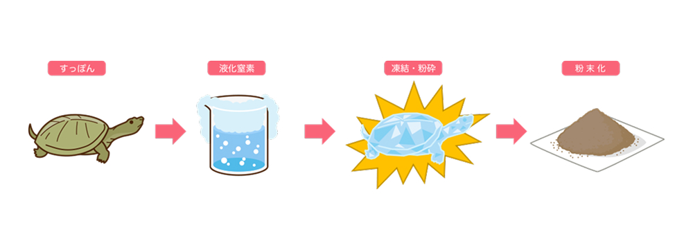 イワタニのすっぽんサプリが支持される3つの理由