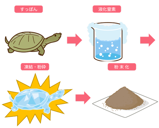 イワタニのすっぽんサプリが支持される3つの理由