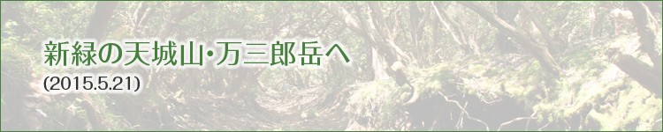 2015.05.21 新緑の天城山・万三郎岳へ