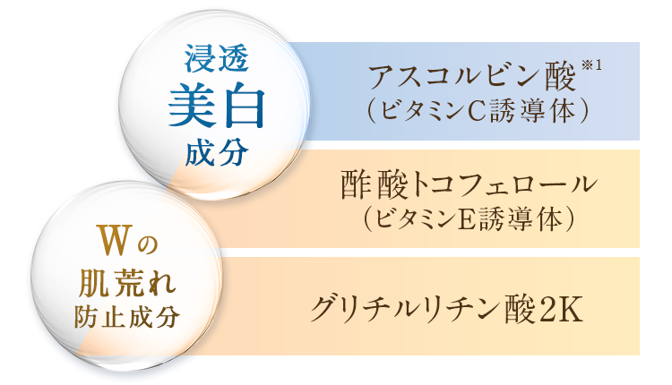 浸透美白成分Wの肌荒れ防止成分 アスコルビン酸※1（ビタミンC誘導体）酢酸トコフェロール（ビタミンE誘導体）グリチルリチン酸2K