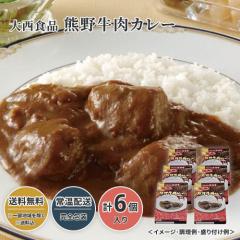 大西食品 熊野牛肉カレー 23W098