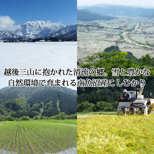 令和三年産 新米 特別栽培米(5割減) 南魚沼産こしひかり「雪穂」10kg