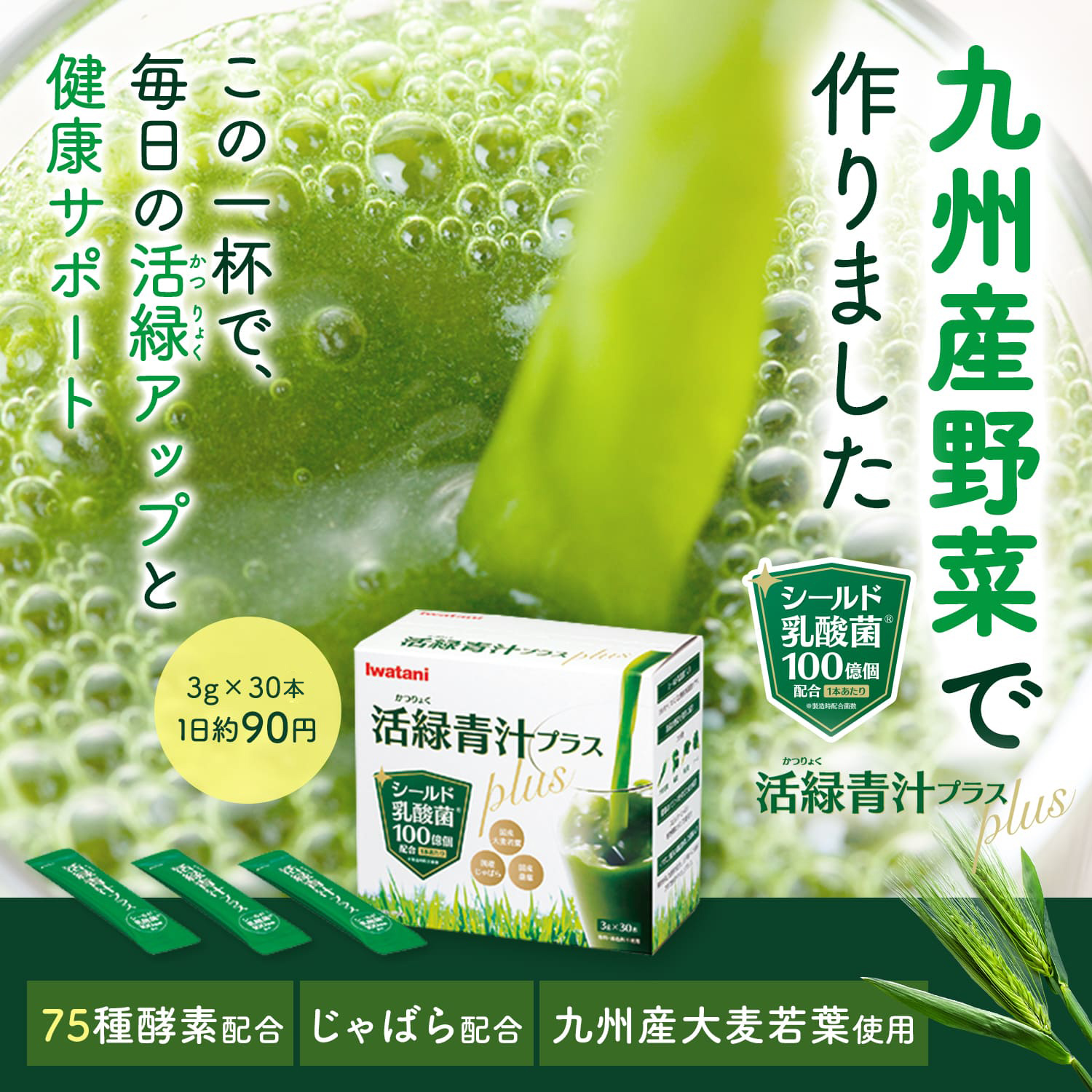 活緑青汁Plus 30包 イワタニの健康食品 / イワタニアイコレクト